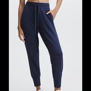 Navy Fabletics jogger pants